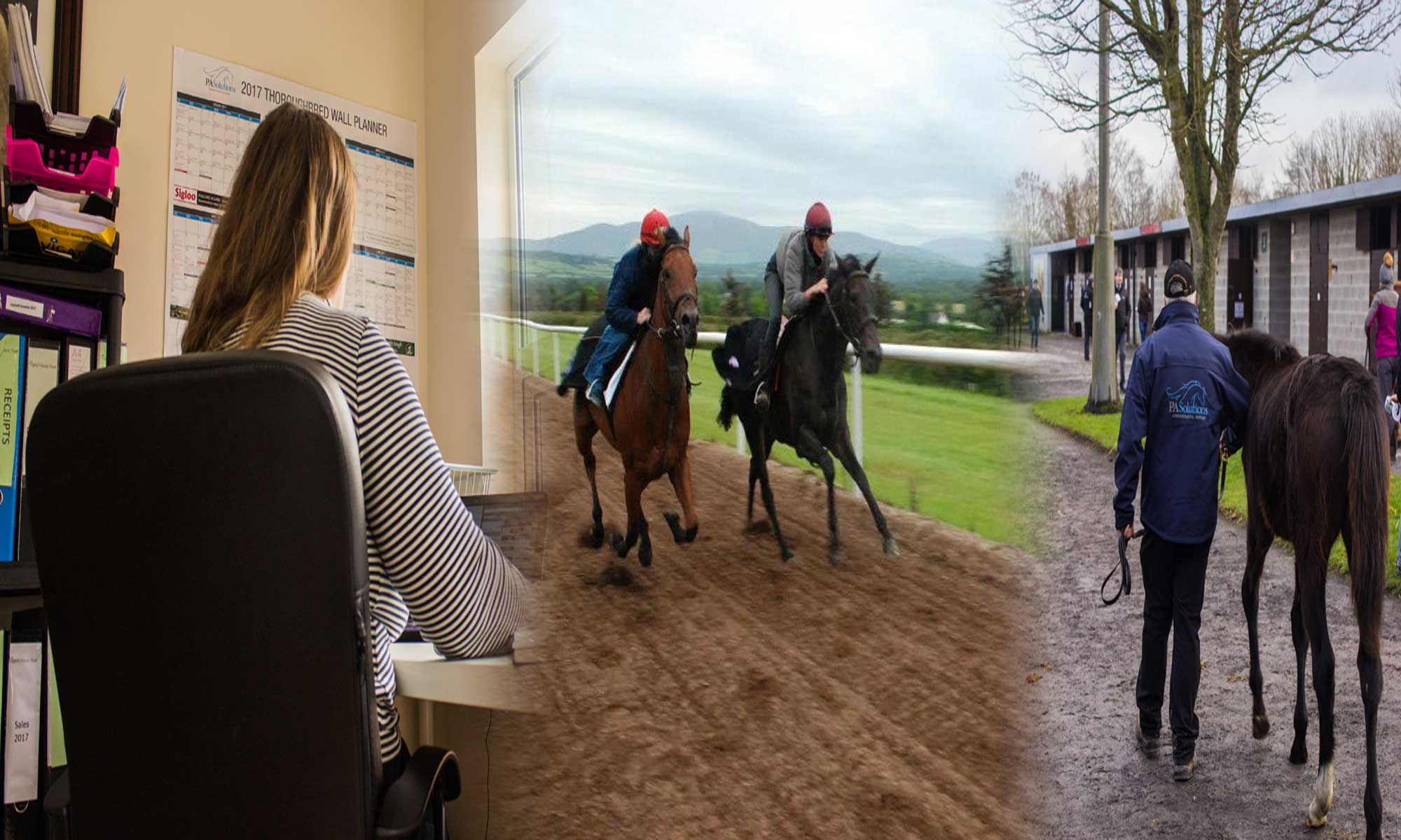 PA Solutions Personal Assistant Services for the Equine Industry
